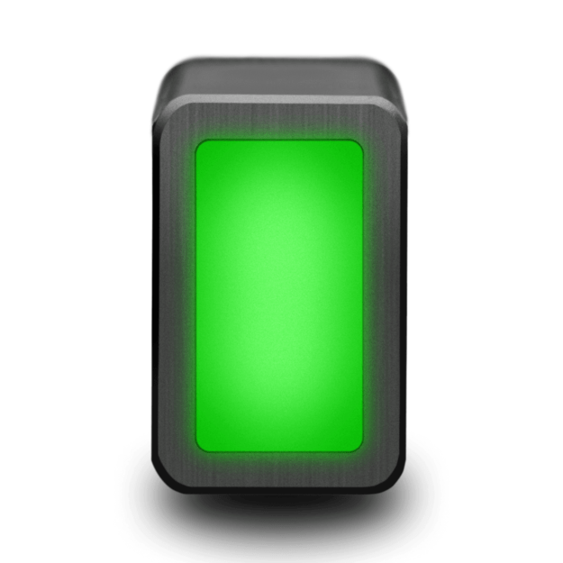 Elektroninis gulsčiukas SG Pulse